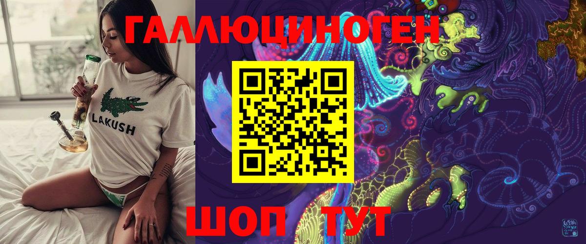 Псилоцибиновые грибы мицелий Бердск